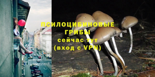 прущие крисы Балабаново