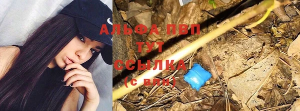 прущие крисы Балабаново